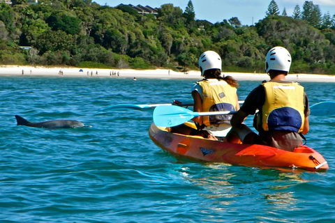 The Byron Bay Sea Kayak Tour - Accommodation Tasmania 1
