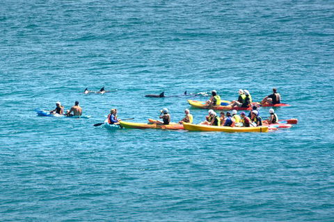 The Byron Bay Sea Kayak Tour - Accommodation Tasmania 12