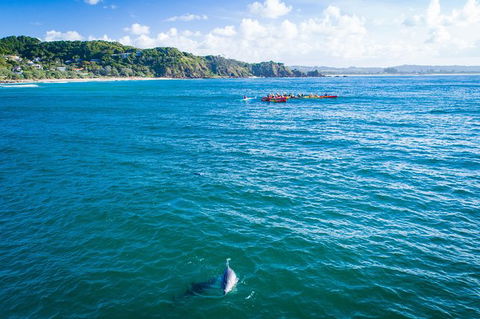 The Byron Bay Sea Kayak Tour - Accommodation Tasmania 8