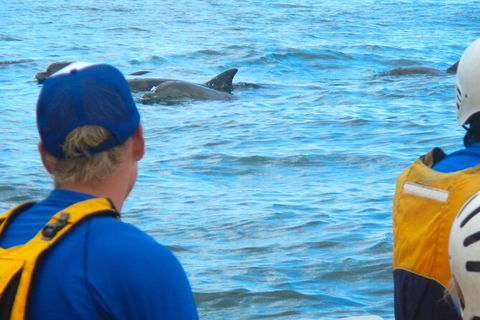 The Byron Bay Sea Kayak Tour - Accommodation Tasmania 11