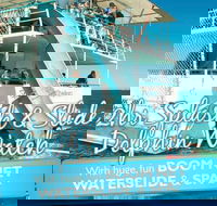 Port Stephens Dolphin Watching Cruise Including Splash and Slide - Accommodation Tasmania