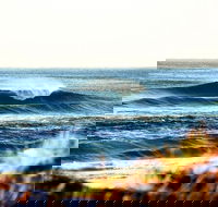 7-Day Byron Bay Evans Head and Moonee Beach Surf Safari from Brisbane Gold Coast or Byron Bay - Accommodation Tasmania