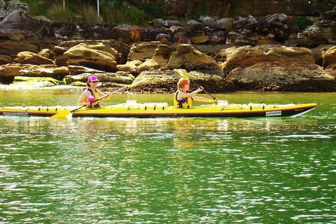Self-Guided Sydney Middle Harbour Kayak 3 Hour Tour By Double Kayak - Accommodation Tasmania 1