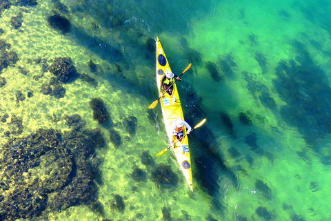 Self-Guided Sydney Middle Harbour Kayak 3 Hour Tour By Double Kayak - Accommodation Tasmania 3