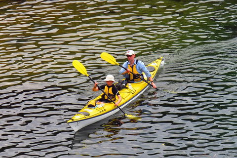Self-Guided Sydney Middle Harbour Kayak 3 Hour Tour By Double Kayak - Accommodation Tasmania 6