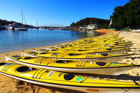 Self-Guided Sydney Middle Harbour Kayak 3 Hour Tour By Double Kayak - Accommodation Tasmania 4