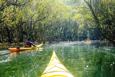 Self-Guided Sydney Middle Harbour Kayak 3 Hour Tour By Double Kayak - Accommodation Tasmania 5