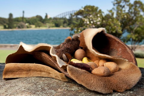 Aboriginal Heritage Tour At The Royal Botanic Garden Sydney - Accommodation Tasmania 7