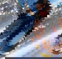 Coffs Harbour Ground Rush or Max Freefall Tandem Skydive on the Beach - Accommodation Tasmania