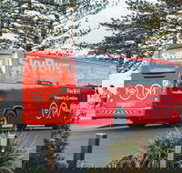SkyBus Byron Bay Express - Accommodation Tasmania