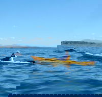 Whale Watching by Sea Kayak in Batemans Bay - Accommodation Tasmania