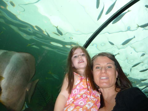 WILD LIFE Sydney Entrance Ticket - Accommodation Tasmania 4