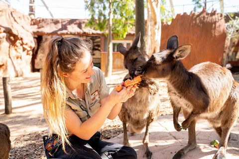 WILD LIFE Sydney Entrance Ticket - Accommodation Tasmania 18