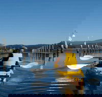 Batemans Bay Oyster Tasting Kayak Tour - Accommodation Tasmania