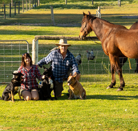 Meet The Animals - Accommodation Tasmania