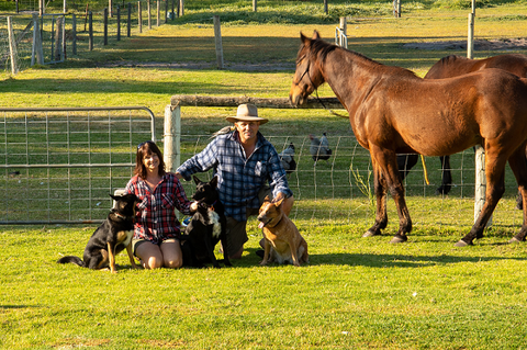 Meet The Animals - Accommodation Tasmania 0
