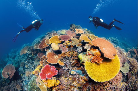 Agincourt Reef - Accommodation Tasmania 0