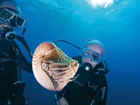Agincourt Reef - Accommodation Tasmania 1