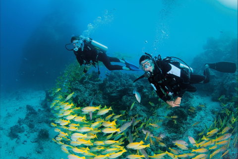 Agincourt Reef - Accommodation Tasmania 2