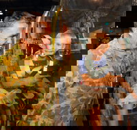 Australian Army Flying Museum - Accommodation Tasmania