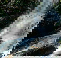 Bangalore Falls Walking Track - Accommodation Tasmania