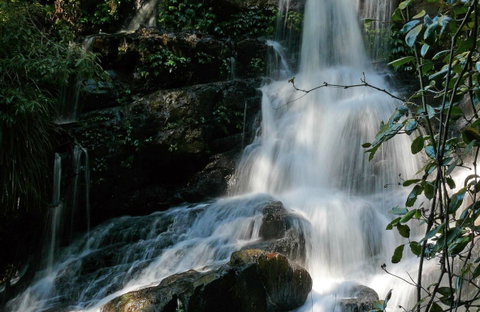 Bangalore Falls Walking Track - Accommodation Tasmania 0