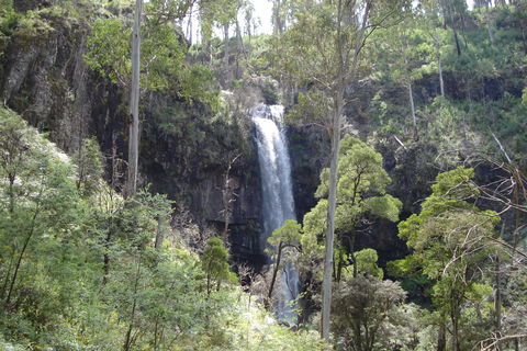 Bindaree Falls - Accommodation Tasmania 0