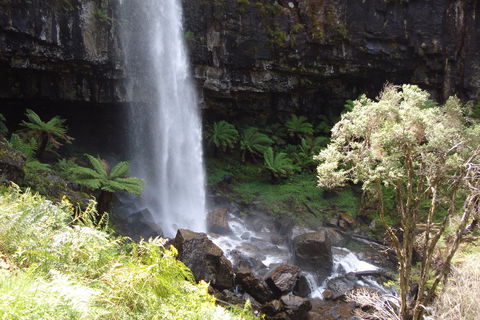 Bindaree Falls - Accommodation Tasmania 1