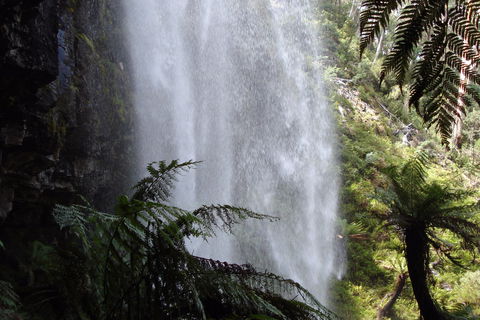 Bindaree Falls - Accommodation Tasmania 2