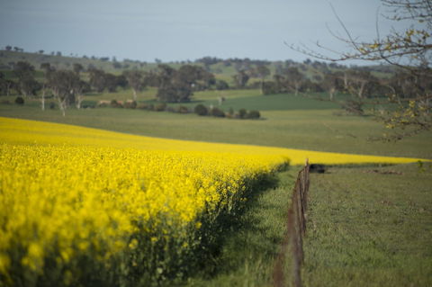 Boorowa - Accommodation Tasmania 2