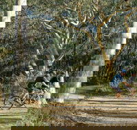 Bundanoon cycling route - Accommodation Tasmania