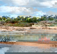 Burdekin - Accommodation Tasmania