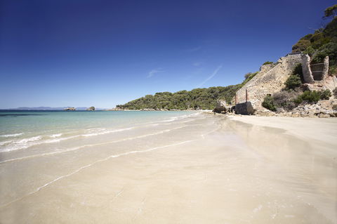 Cape Liptrap Coastal Park - Accommodation Tasmania 1