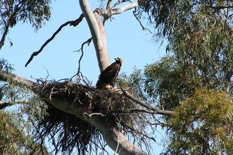 Castle Creek Reserve - Accommodation Tasmania 0
