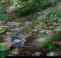 Cascades picnic area - Accommodation Tasmania