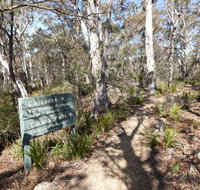 Cascades walking track and viewing platform - Accommodation Tasmania