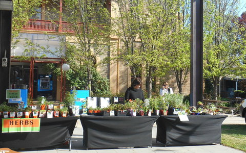 Clare Show Market - Accommodation Tasmania 0