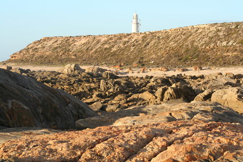 Corny Point Lighthouse - Accommodation Tasmania 0