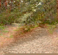 Daleys Point Walking Track - Accommodation Tasmania