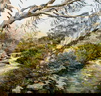 Dead Horse Gap walking track - Accommodation Tasmania