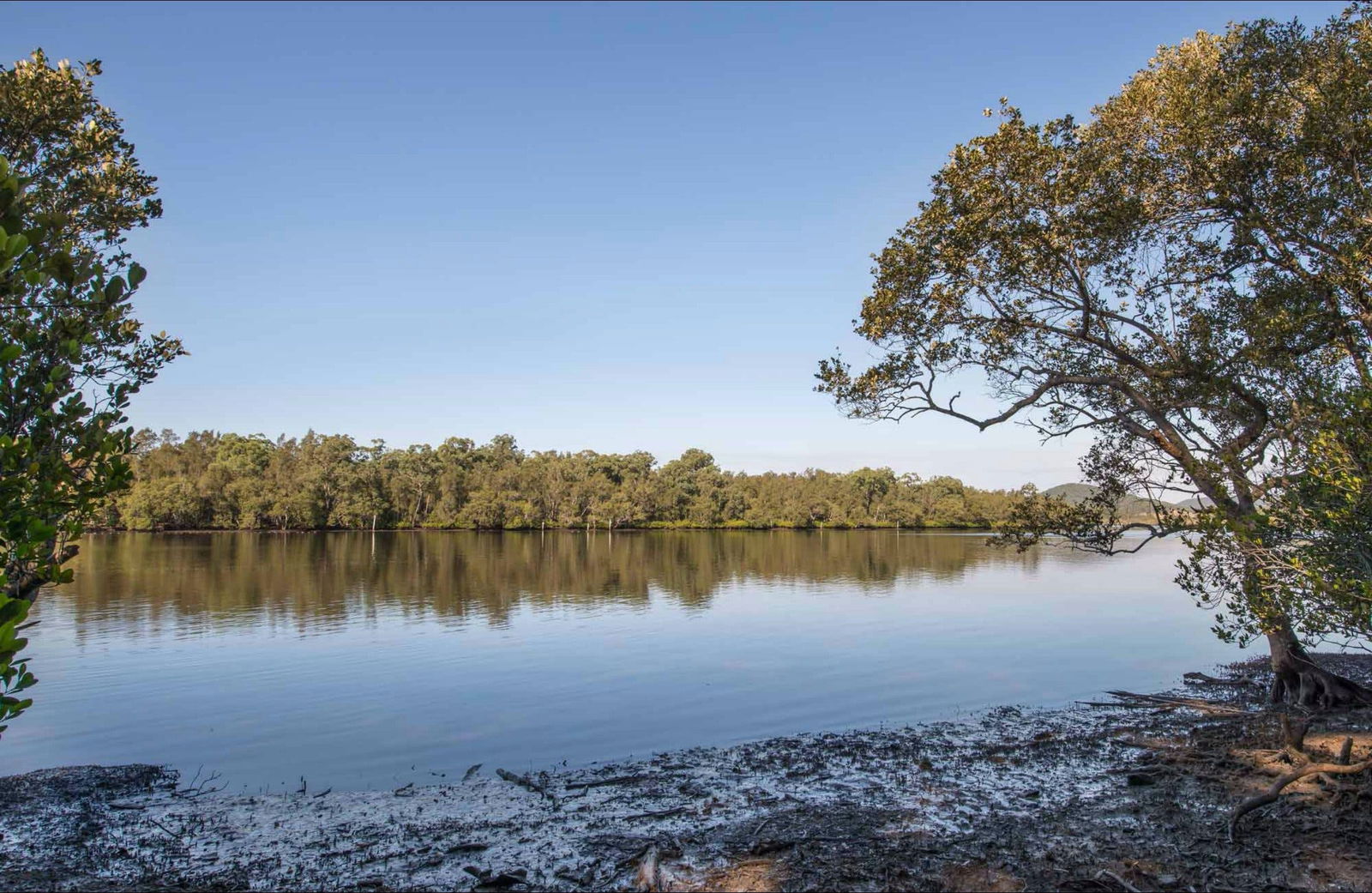 Limeburners Creek NSW Accommodation Tasmania