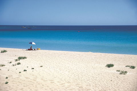 Eagle Bay - Accommodation Tasmania 0