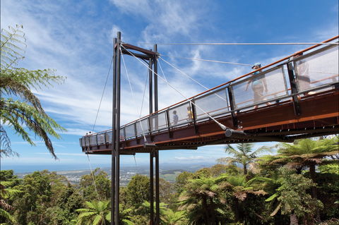 Forest Sky Pier, Sealy Lookout - Accommodation Tasmania 0