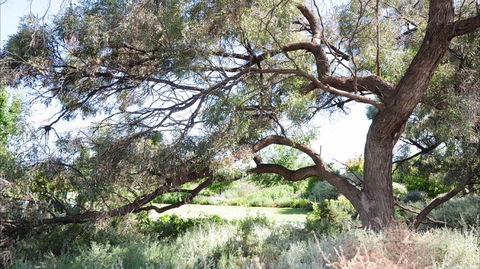 Gathercole Nature Reserve - Accommodation Tasmania 0