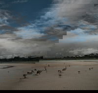 Hardwicke Bay - Accommodation Tasmania