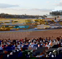 Ipswich Motorsport Precinct - Accommodation Tasmania