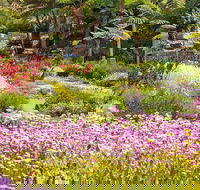 Jurassic Garden AR Experience - Accommodation Tasmania