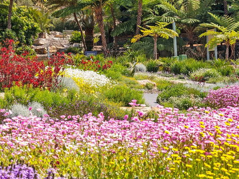 Jurassic Garden AR Experience - Accommodation Tasmania 0