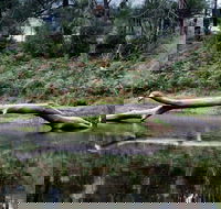 Kayaking Upper Tuross River and Bumbo Lake - Accommodation Tasmania