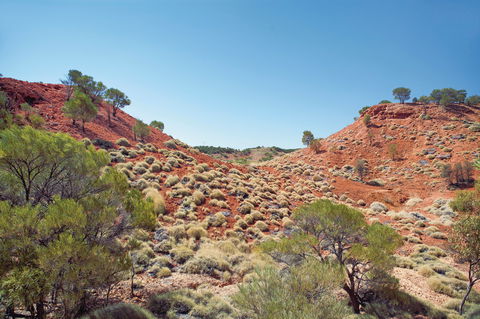 Lark Quarry Conservation Park - Accommodation Tasmania 0